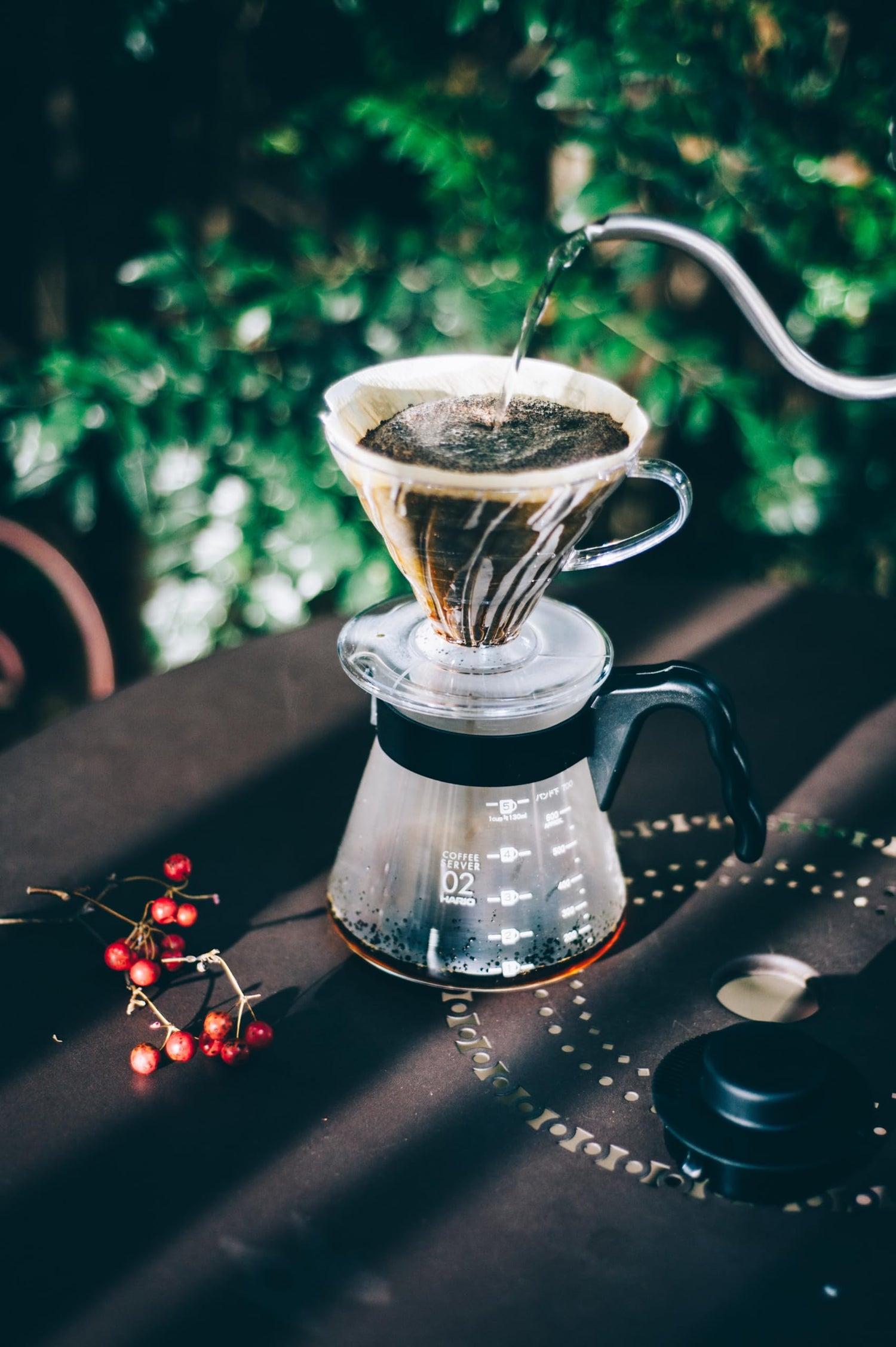 Filter coffee beans