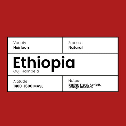Ethiopia-Guji