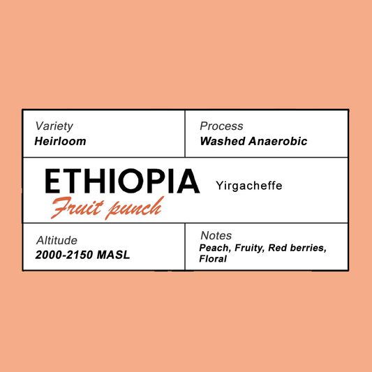 Ethiopia(Yirgacheffe) - Fruit punch (Infused)